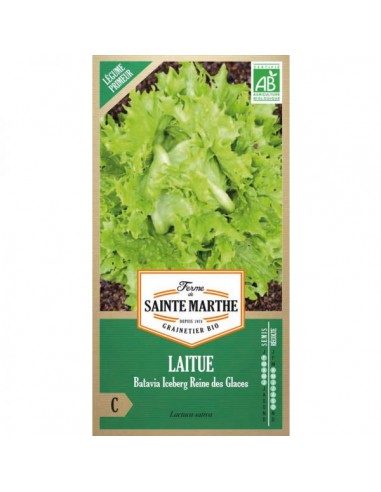Laitue Batavia Iceberg Reine Des Glaces Bio - Saint Marthe La Ferme Sainte Marthe Graines du potager