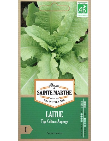 Graines de Laitue Tige Celtuce Asperge Bio - Sainte Marthe La Ferme Sainte Marthe Graines du potager