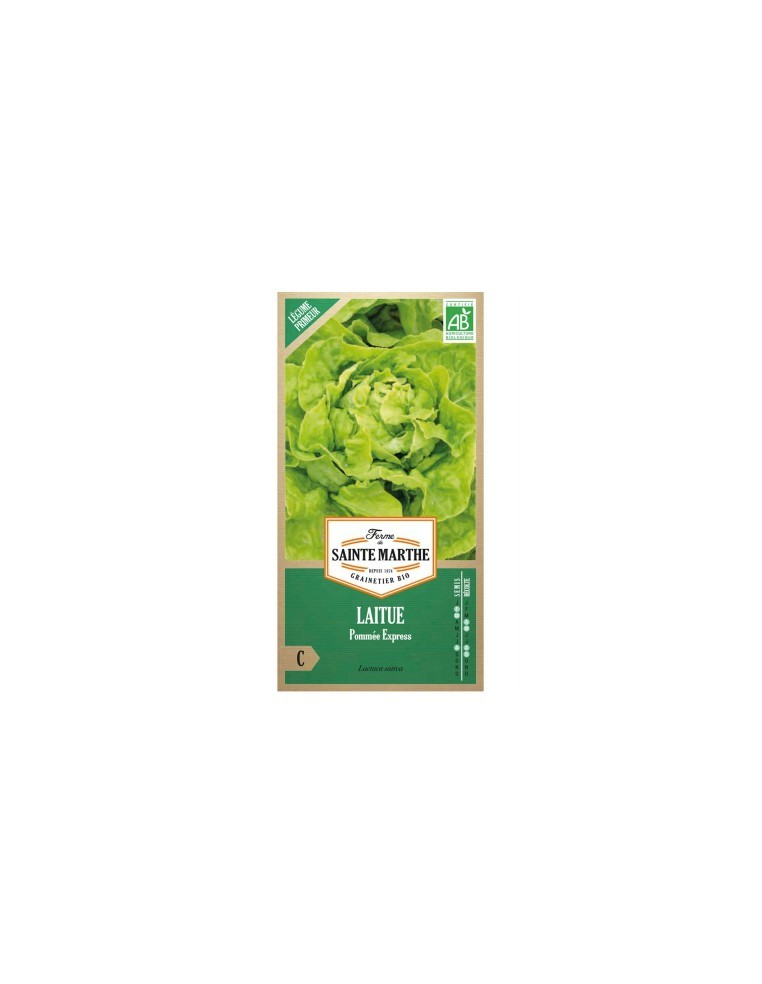 Laitue Pommée Express Bio - Saint Marthe La Ferme Sainte Marthe Graines du potager