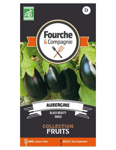 Aubergine Black Beauty - Fourche & Compagnie Fourche & Compagnie Graines du potager