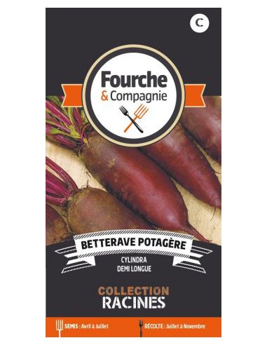 Betterave Potagère Cylindra - Fourche & Compagnie Fourche & Compagnie Graines du potager