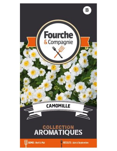 Camomille - Fourche & Compagnie Fourche & Compagnie Graines aromatiques