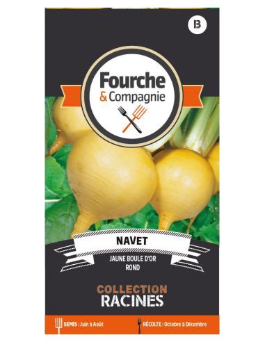 Graines de Navet Jaune Boule D'Or - Fourche & Compagnie Fourche & Compagnie Graines du potager
