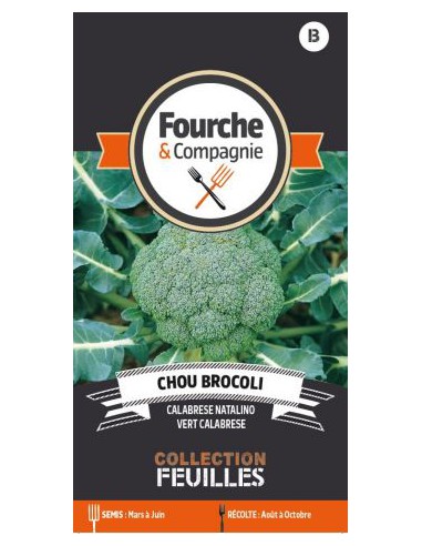 Chou Brocoli Calabrèse Natalino - Fourche & Compagnie Fourche & Compagnie Graines du potager