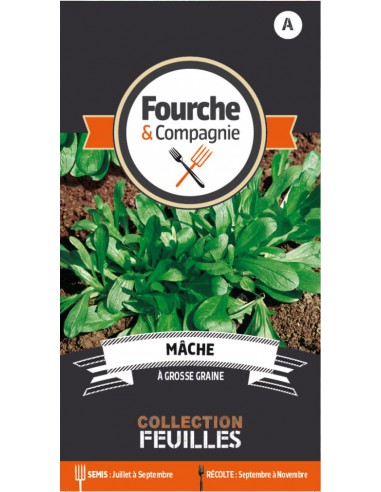Graines de Mâche à Grosse Graine - Fourche & Compagnie Fourche & Compagnie Graines du potager