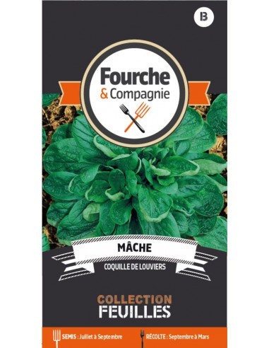 Graines de Mâche Coquille De Louviers - Fourche & Compagnie Fourche & Compagnie Graines du potager