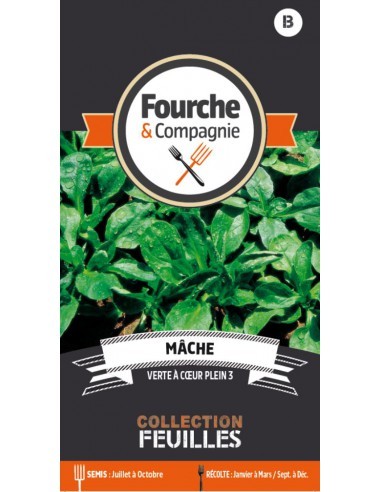 Graines de Mâche Verte à Cœur Plein - Fourche & Compagnie Fourche & Compagnie Graines du potager