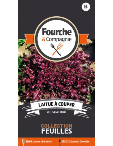 Graines de Laitue à Couper Red Salad Bowl - Fourche & Compagnie Fourche & Compagnie Graines du potager