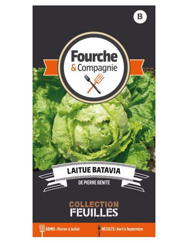 Graines de Laitue Batavia De Pierre Benite - Fourche & Compagnie Fourche & Compagnie Graines du potager