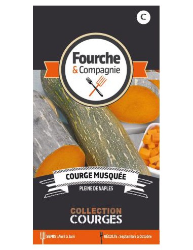 Courge Musquée Pleine De Naples - Fourche & Compagnie Fourche & Compagnie Graines du potager