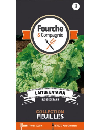 Graines de Laitue Batavia Blonde Paris - Fourche & Compagnie Fourche & Compagnie Graines du potager
