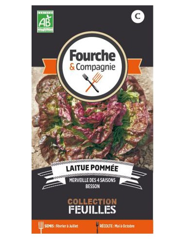 Graines de Laitue Pommée Merveille Des 4 Saisons Bio - Fourche & Compagnie Fourche & Compagnie Graines du potager