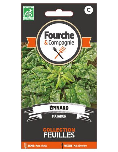 Epinard Matador Bio - Fourche & Compagnie Fourche & Compagnie Graines du potager