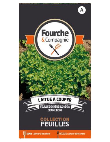 Laitue à Couper Feuilles De Chêne Blonde à Graine Noire - Fourche & Compagnie Fourche & Compagnie Graines du potager