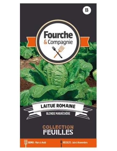 Laitue Romaine Blonde Maraichère - Fourche & Compagnie Fourche & Compagnie Graines du potager