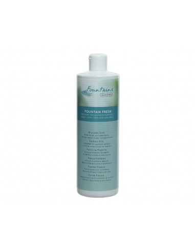 Nettoyant pour Fontaine 1 Litre - Kaemingk Kaemingk Fontaine extérieure et accessoire