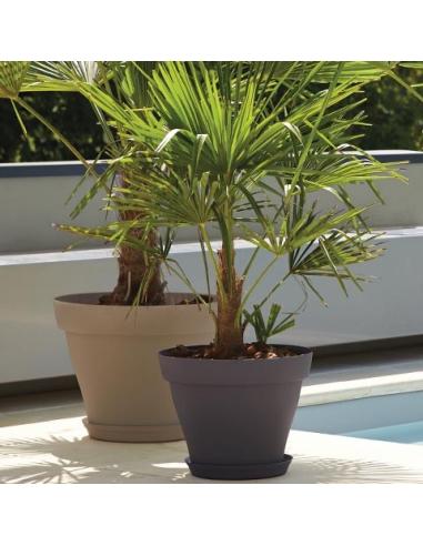 Soucoupe ronde Roméo pour pot 35 - Taupe Poétic Jardin Soucoupe pour pot et bac en plastique