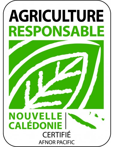 Cancan - 2 L Pépinière de la TAMOA Plante de haie