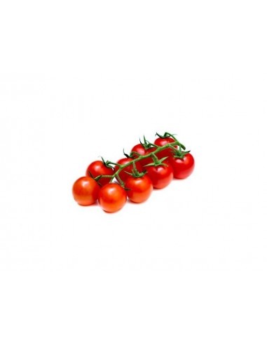 Tomate cerise en godet Pépinière de la TAMOA Plants du potager