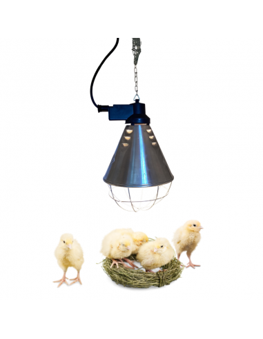 Kit complet de chauffage poussin Plume & Compagnie Soin et entretien
