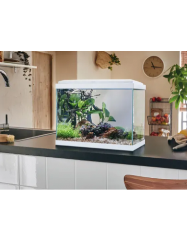 Aquarium Fresh 40 LED Blanc 20L avec Kit de Filtration + Éclairage - Pure Family Pure Family Aquarium pour poisson d'eau froide