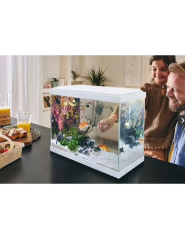 Aquarium Fresh 40 Blanc 20L avec Kit de Filtration - Pure Family Pure Family Aquarium pour poisson d'eau froide