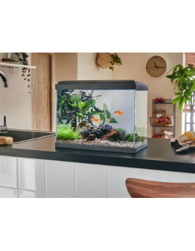 Aquarium Fresh 40 LED Gris 20L avec Kit de Filtration + Éclairage - Pure Family Pure Family Aquarium pour poisson d'eau froide