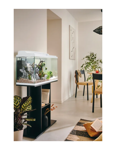 Aquarium Tropical 80 Blanc 81L - Pure Family Pure Family Aquarium pour poisson d'eau froide