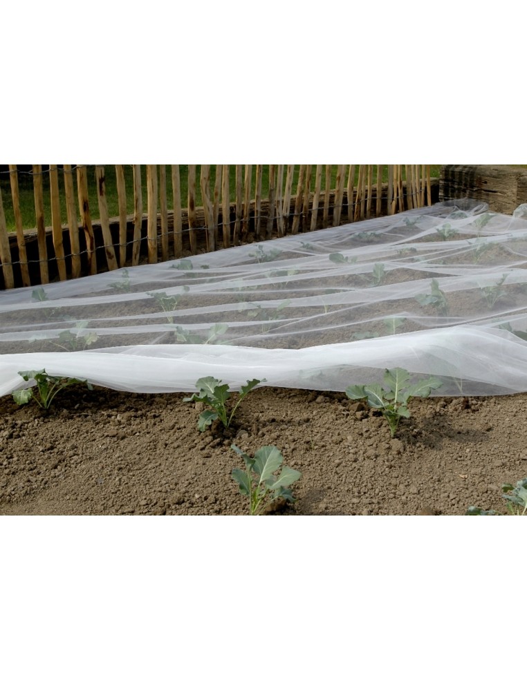 Filet anti-insectes Biocontrol 2.2 x 10 M Nortène Filet de protection