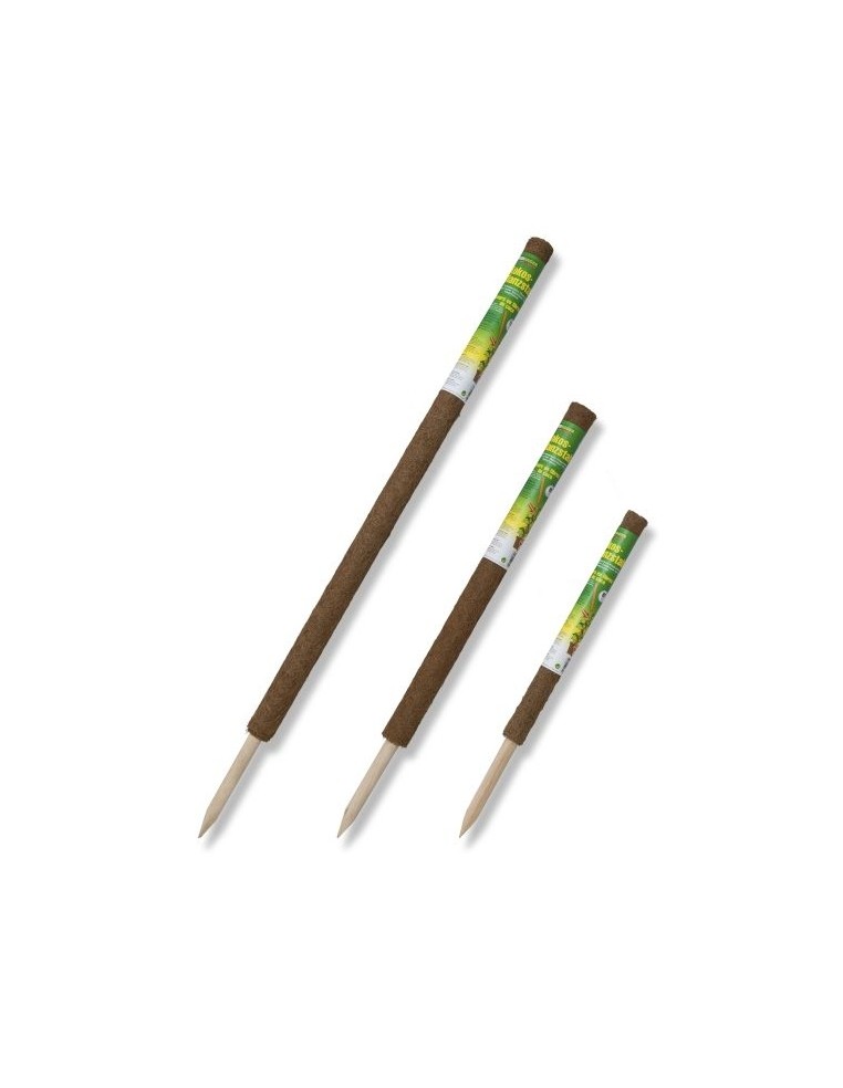 Tuteur en Fibre de Coco 60 cm Windhager Tuteur bois et tuteur bambou