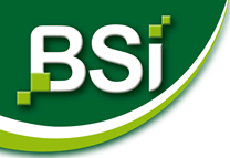 BSI