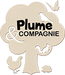 Plume & Compagnie